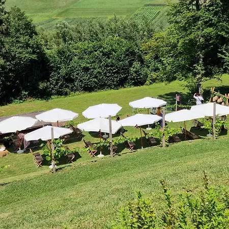 Alloggio per agriturismo Hof-areal Suedsteiermark Dein Ort Fuer Poltergruppen & Hochzeiten