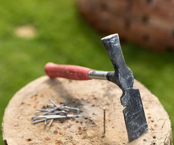 Hof-areal Südsteiermark Dein Ort Für Poltergruppen&hochzeiten Bauernhof Sankt Nikolai im Sausal